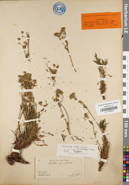 LE 01035824
