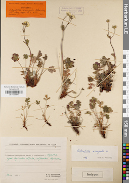 LE 01035845