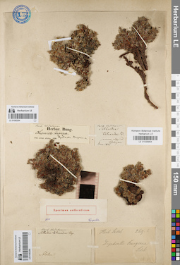LE 01082295