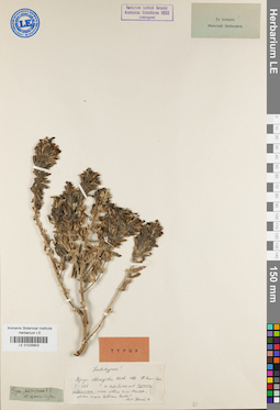 LE 01025602