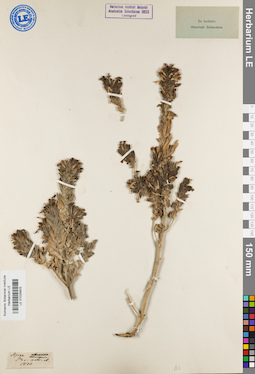 LE 01025603