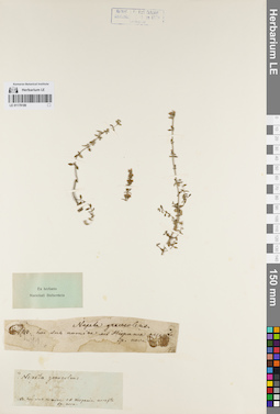 LE 01179189
