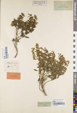 LE 01179190