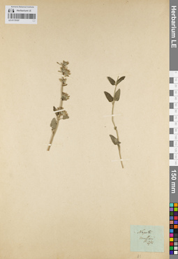 LE 01179197