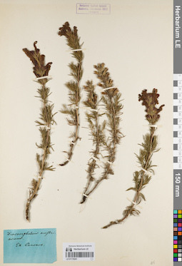 LE 01179201