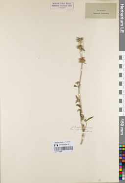 LE 01179208