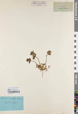 LE 01179222