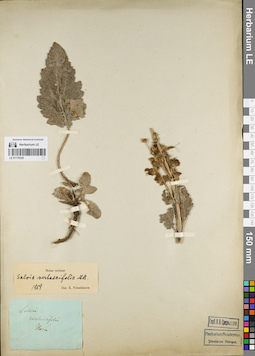 LE 01179325