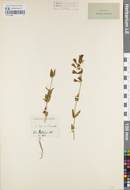 LE 01179348