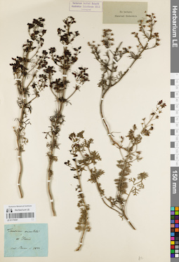 LE 01179391