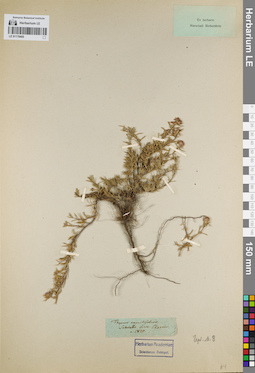 LE 01179405
