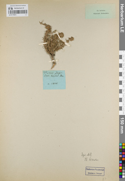 LE 01179413