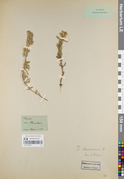 LE 01179415