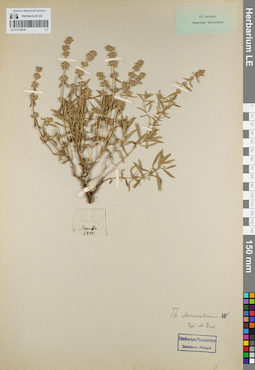 LE 01179419