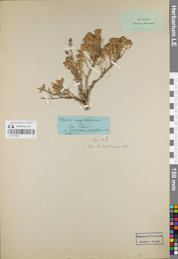 LE 01179423