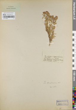 LE 01179426