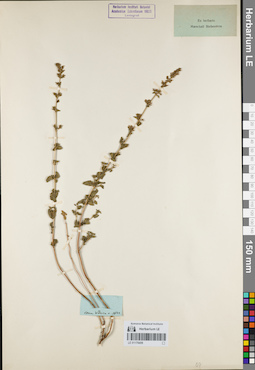 LE 01179459