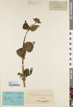 LE 01179608