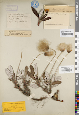 LE 01082303