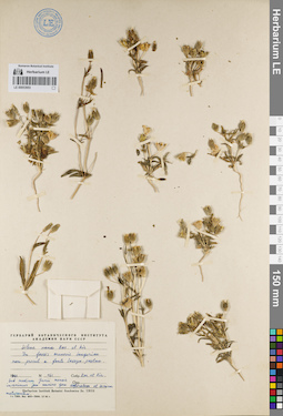 LE 00053953