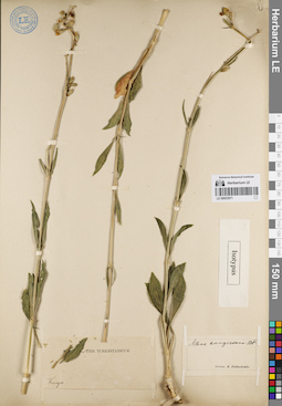 LE 00053971
