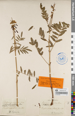 LE 01053246