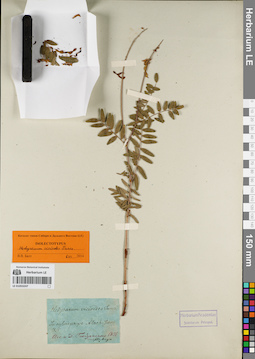 LE 01053247
