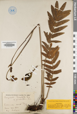 LE 01010190
