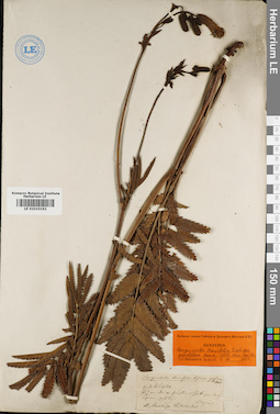 LE 01010192