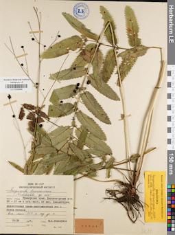 LE 01035866