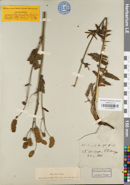 LE 01035878