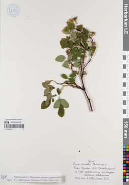 LE 01082336