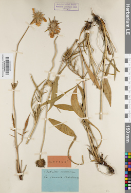 LE 01010390