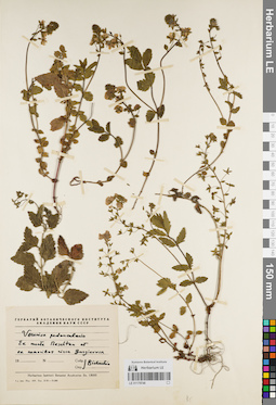 LE 01179746