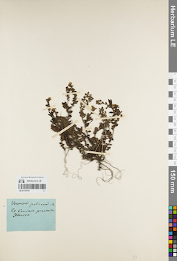 LE 01179751
