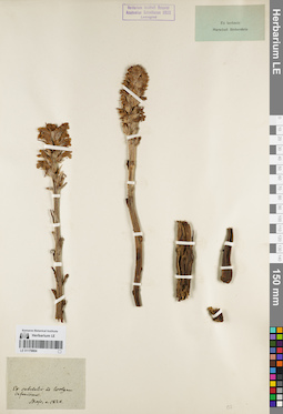 LE 01179804