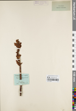 LE 01179807
