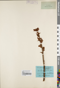 LE 01179808