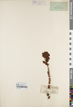 LE 01179810