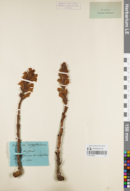 LE 01179811
