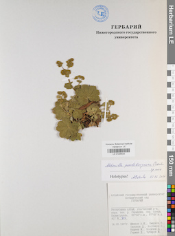LE 01035533