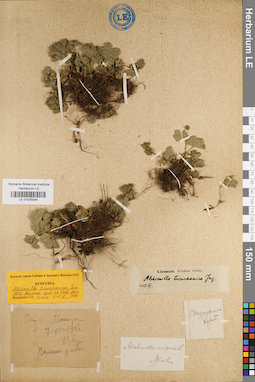 LE 01035544