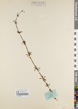 LE 01180098