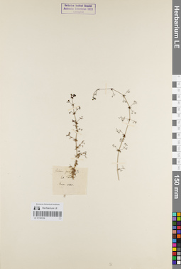 LE 01180106