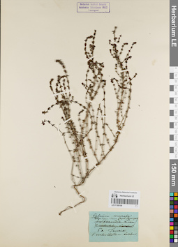 LE 01180109