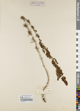 LE 01180118