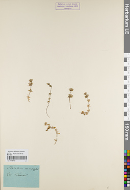 LE 01180124