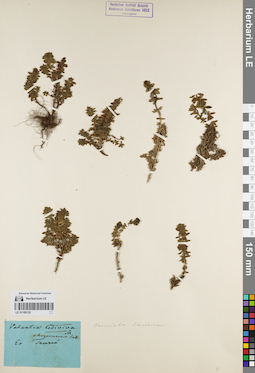 LE 01180125