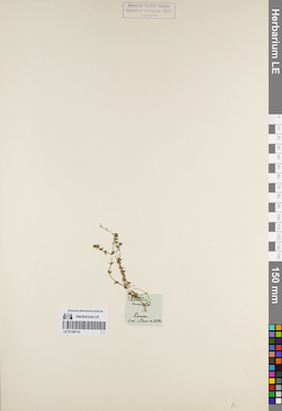 LE 01180133