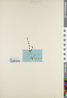 LE 01180134